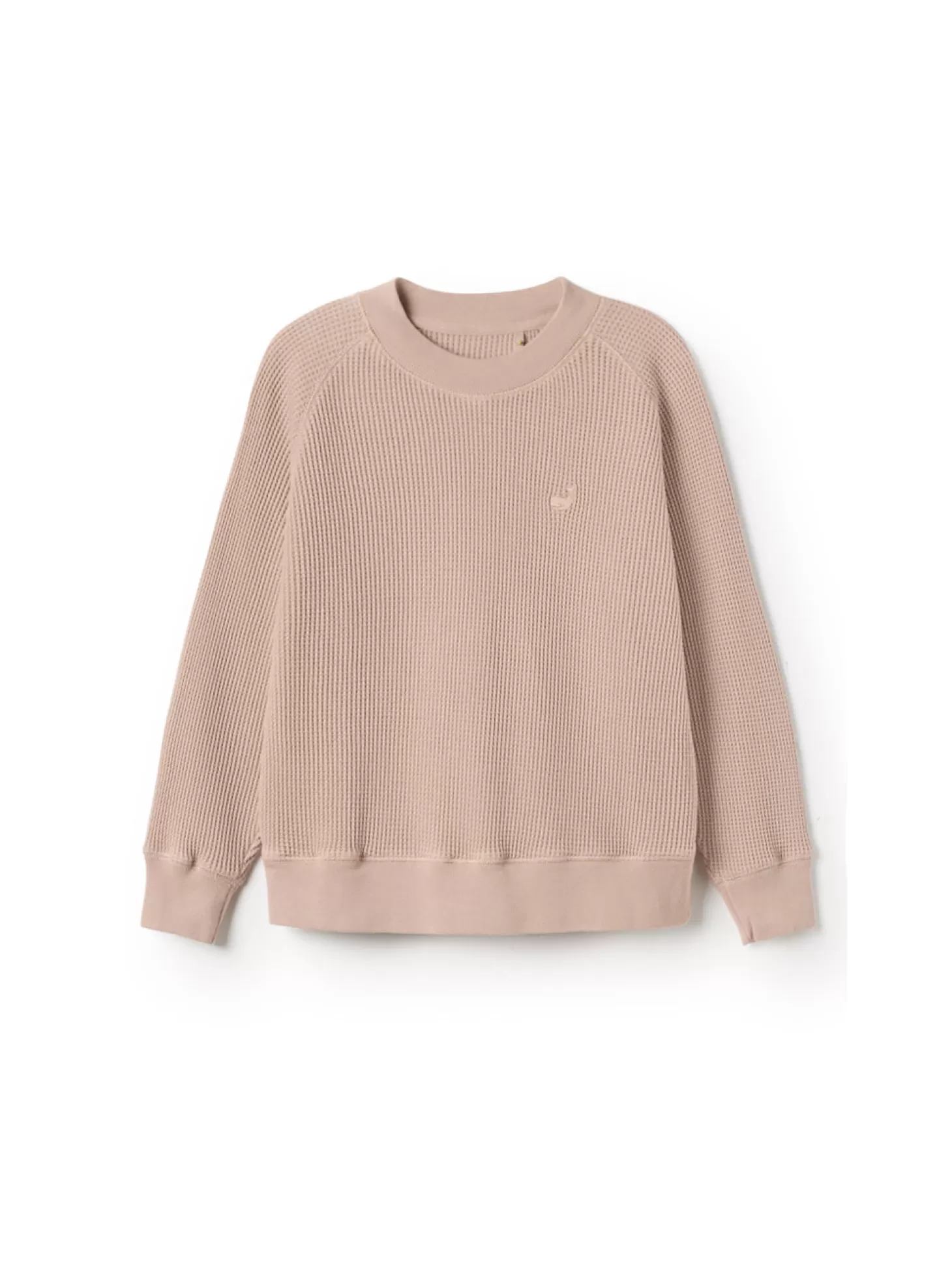 ofirdusty_coral_2.webp Hot Twothirds Ofir-Dusty Coral