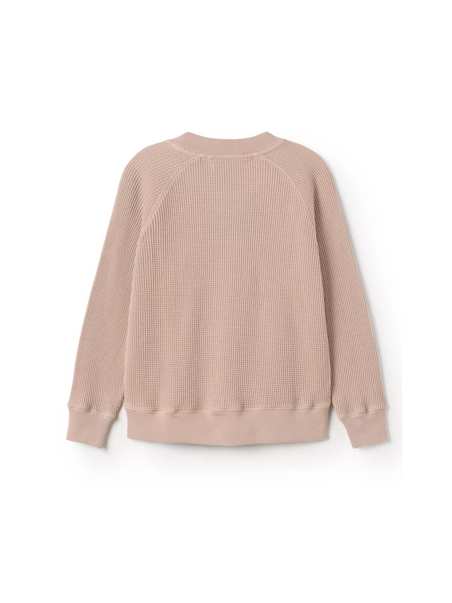 ofirdusty_coral_3.webp Hot Twothirds Ofir-Dusty Coral